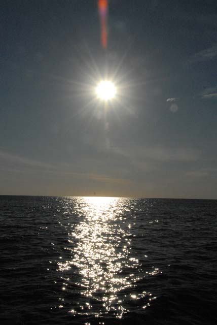 SAIL_161_0299